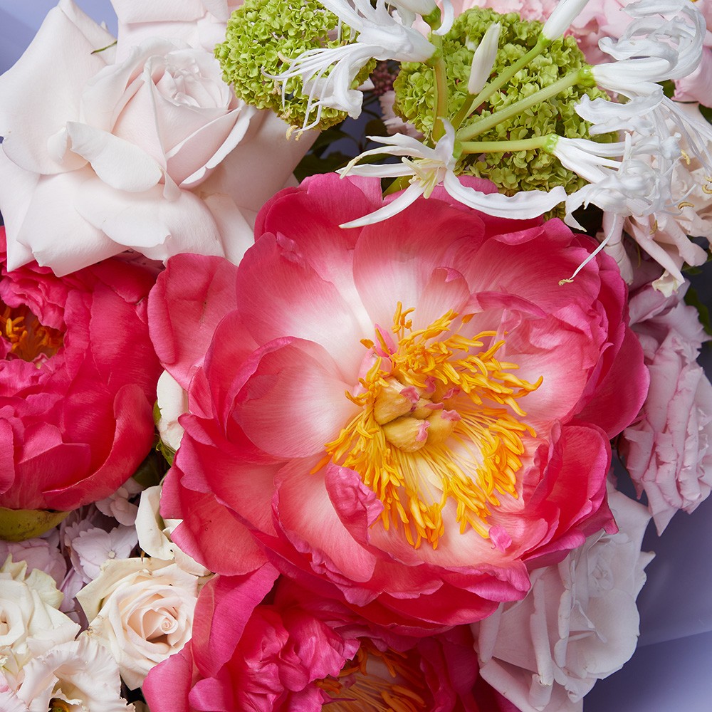 Bouquet 016 Bouquet 016