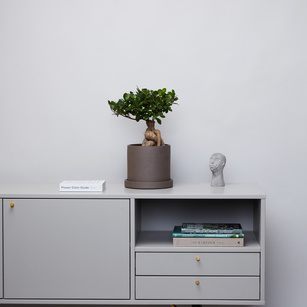 Горшок d18 Chocolate