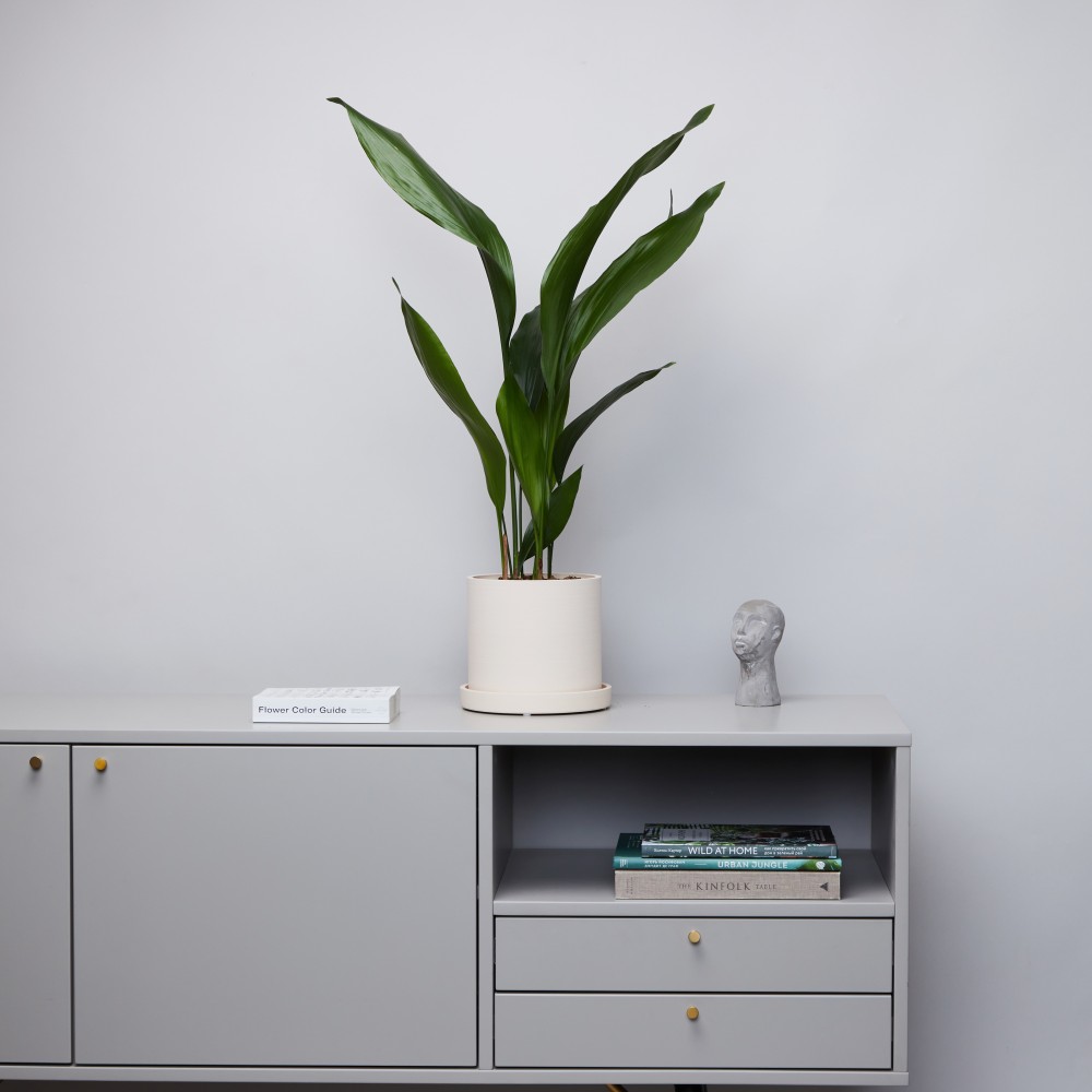 Горшок d18 Cream