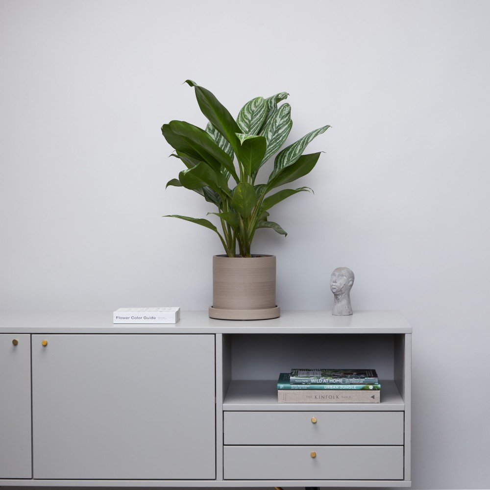 Горшок d18 Grey Горшок d18 Grey