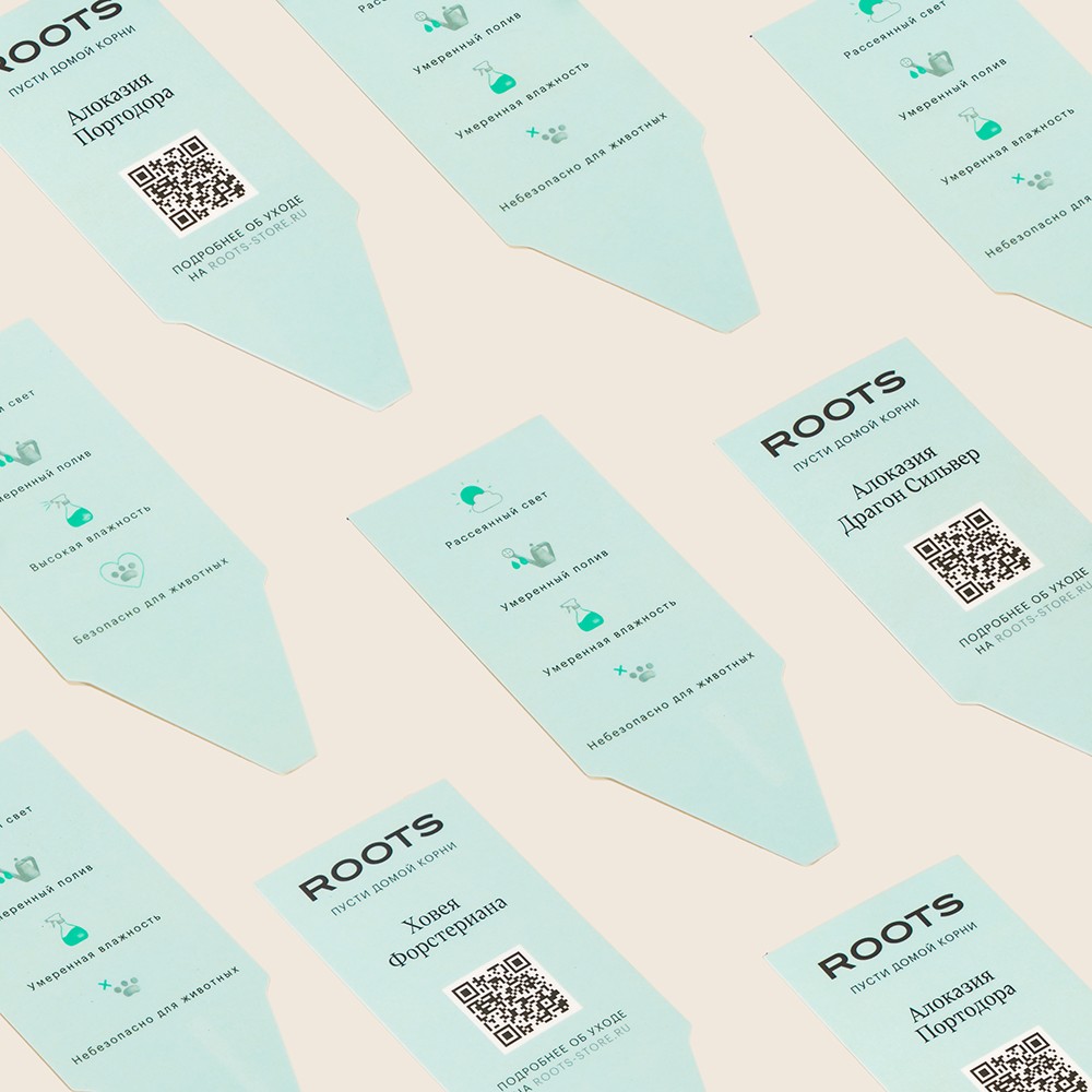 Филодендрон Сканденс Филодендрон Сканденс