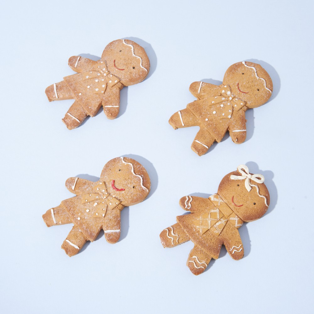 ROOTS x NOTEM Ginger Bread