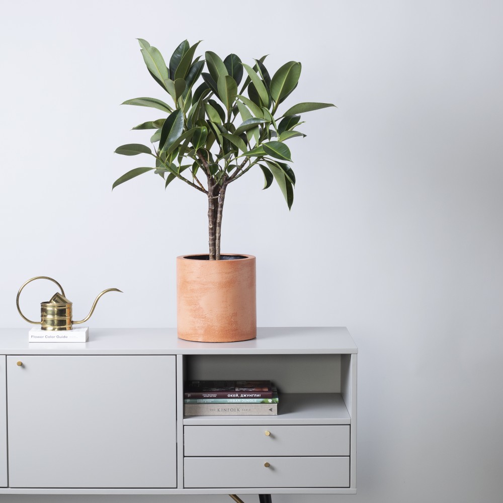 Кашпо Цилиндр d24 Terracotta Кашпо Цилиндр d24 Terracotta