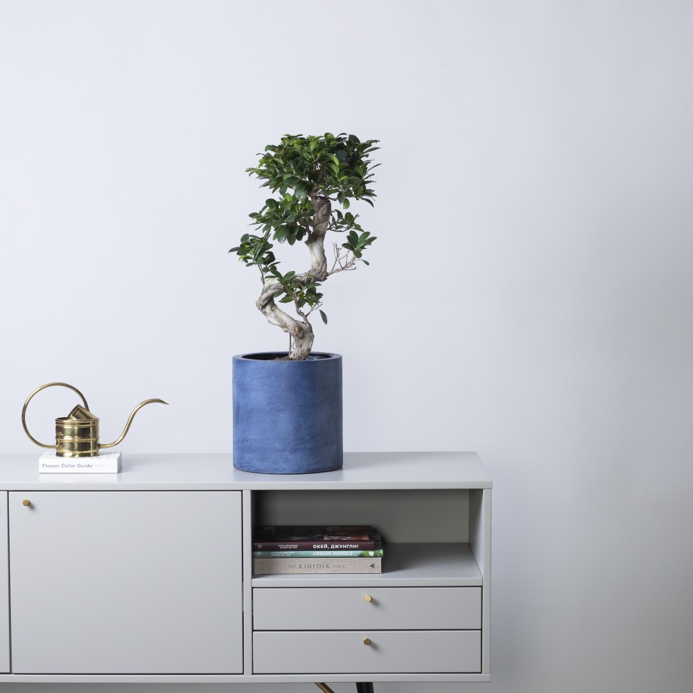 Кашпо Цилиндр d24 BLUEBERRY Кашпо Цилиндр d24 BLUEBERRY