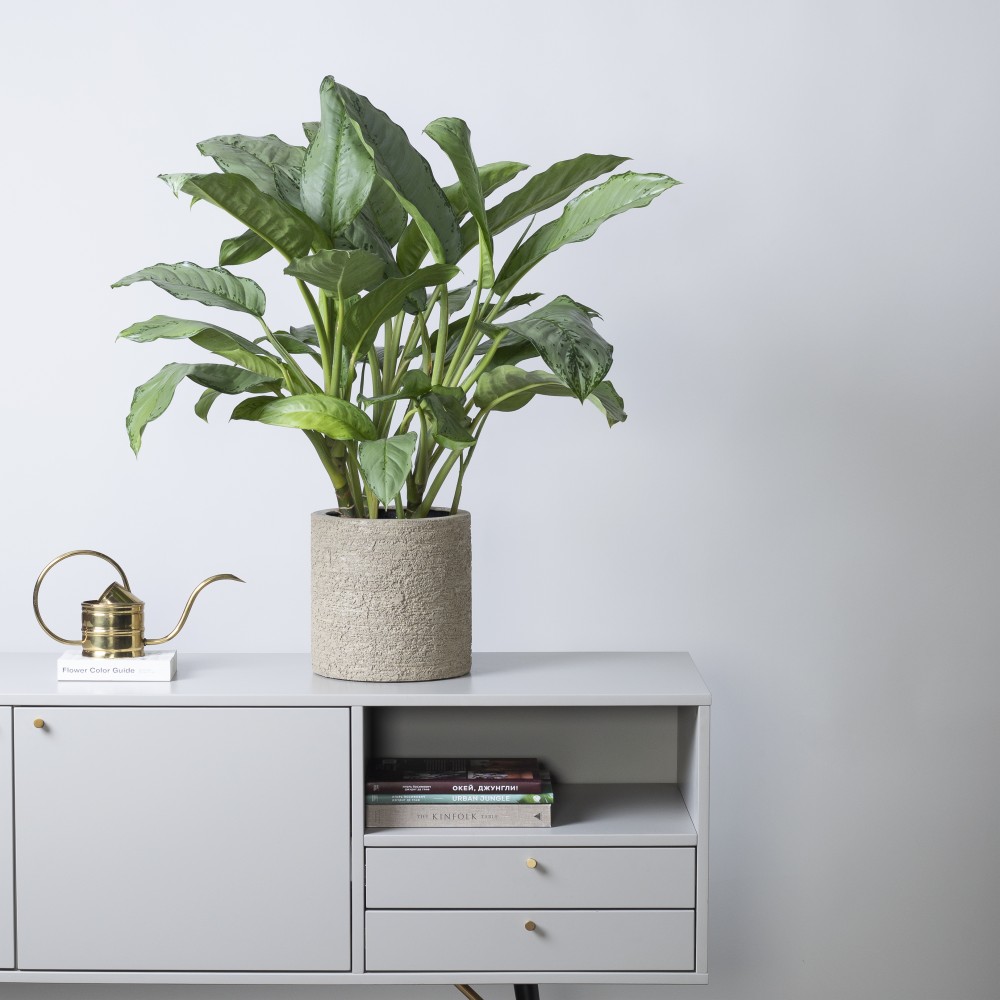 Кашпо цилиндр d24 Texture Кашпо цилиндр d24 Texture