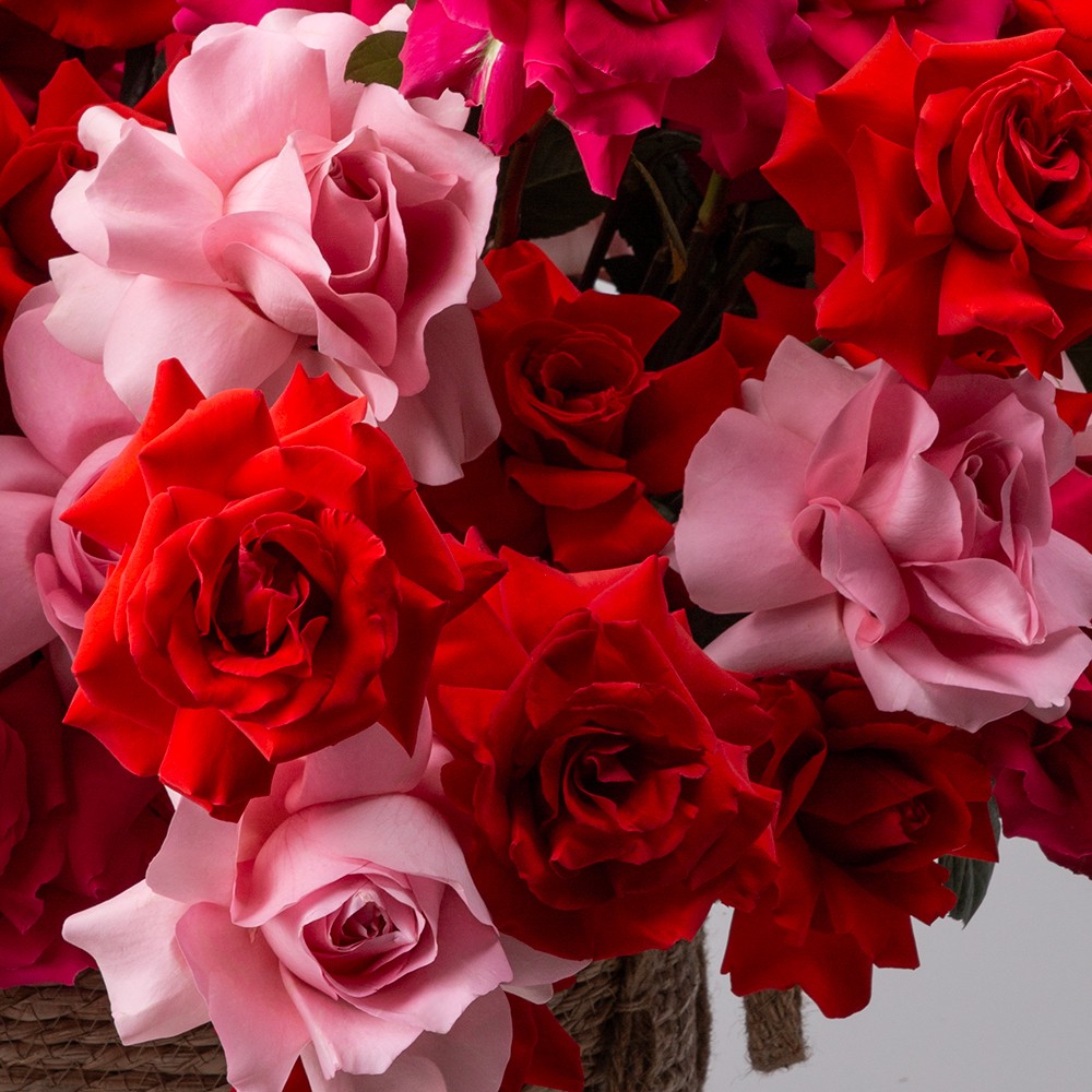 Basket 008 Basket 008