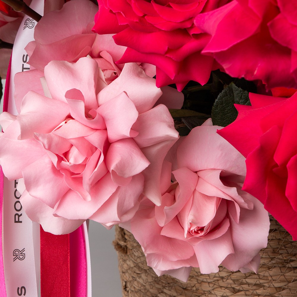 Basket 008 Basket 008