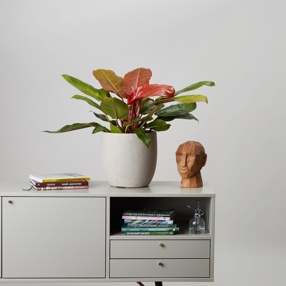 Кашпо Округлый конус d23 Белый песок Кашпо Округлый конус d23 Белый песок