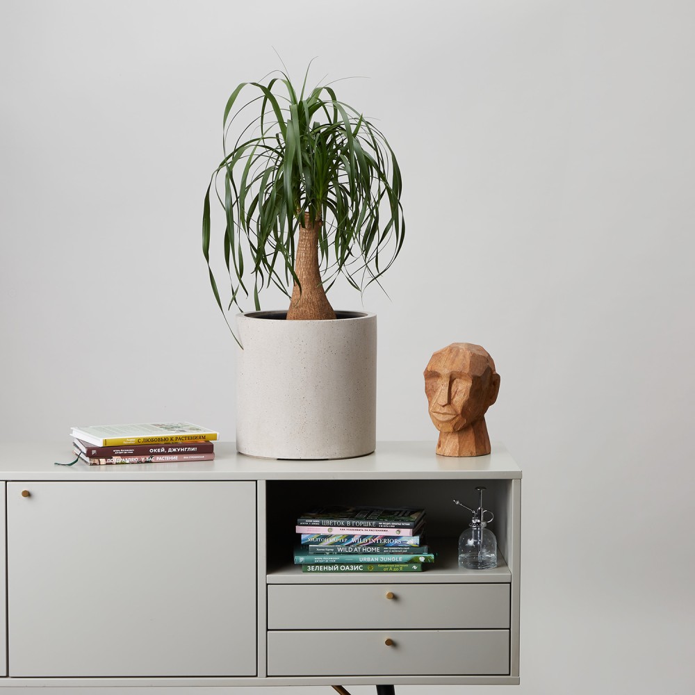 Кашпо Цилиндр Белый песок d23 Кашпо Цилиндр Белый песок d23