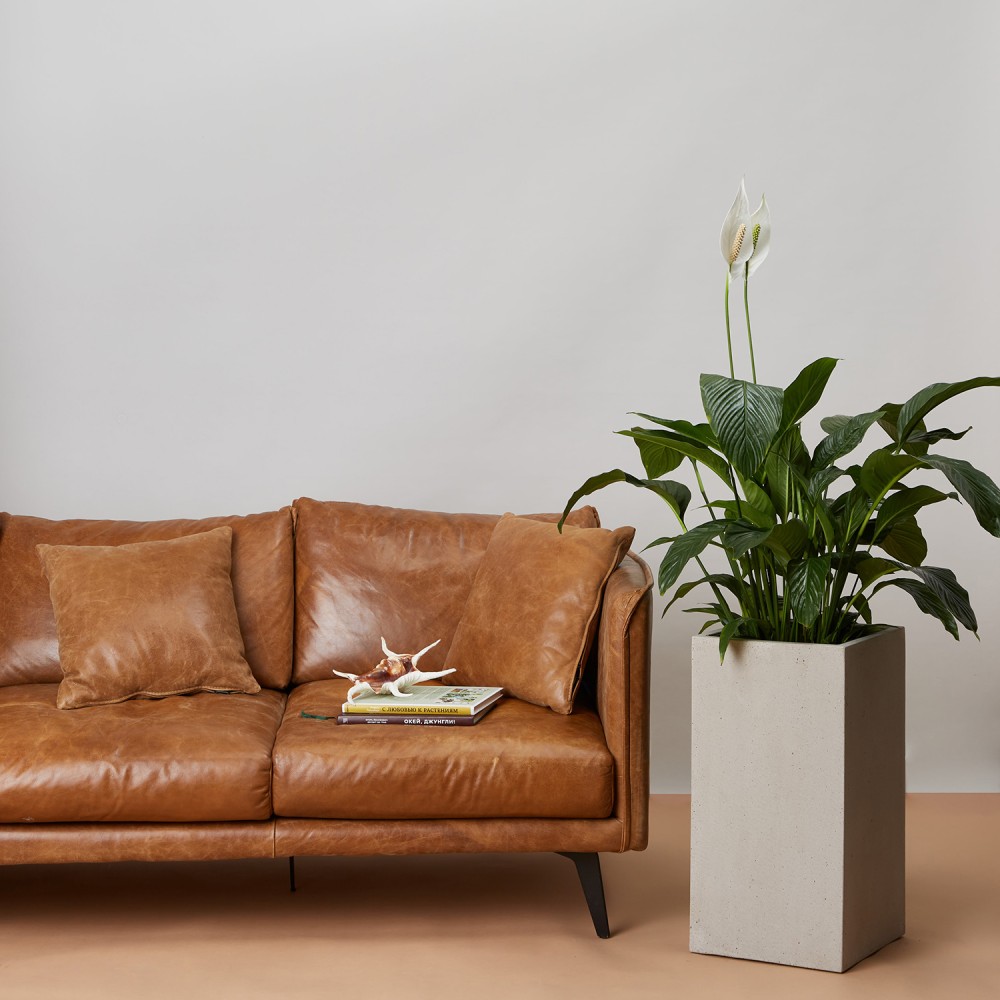 Кашпо Высокий куб Белый песок d23 Кашпо Высокий куб Белый песок d23