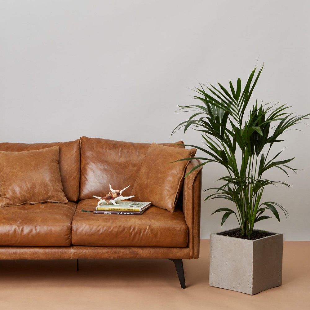 Кашпо куб темно-серый бетон d24 Кашпо куб темно-серый бетон d24