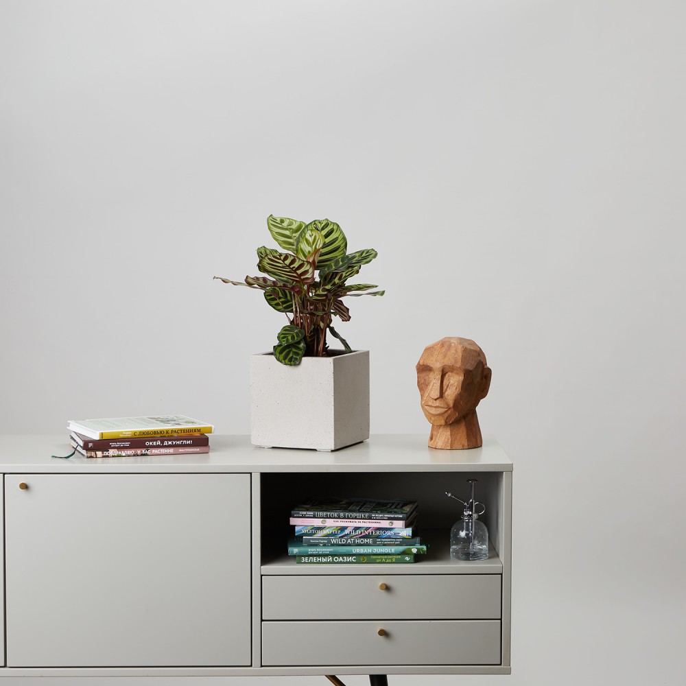 Кашпо куб Белый песок d14 Кашпо куб Белый песок d14