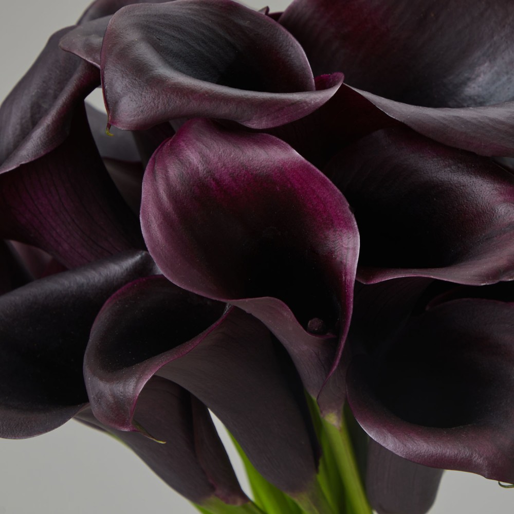 Wedding 020 Wedding 020