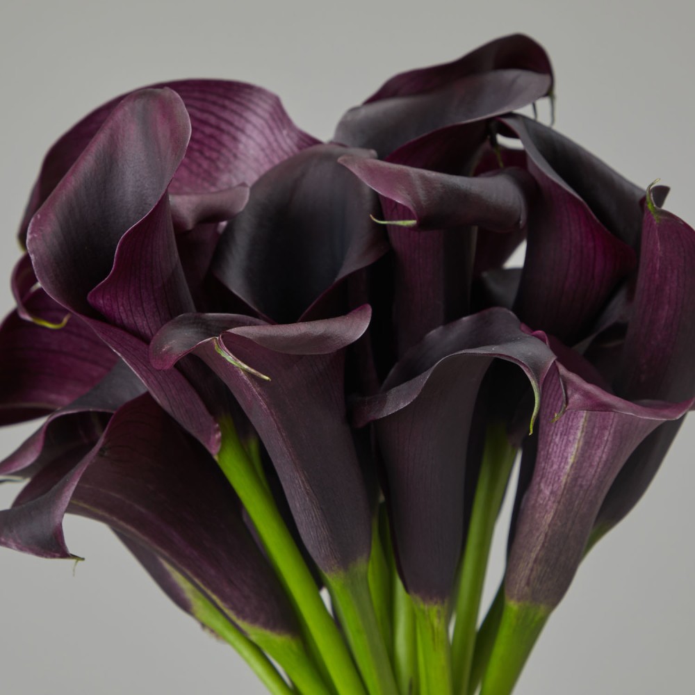 Wedding 020 Wedding 020