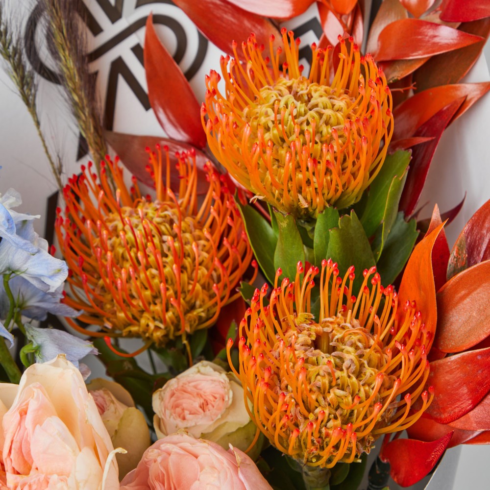 Bouquet 256 Bouquet 256