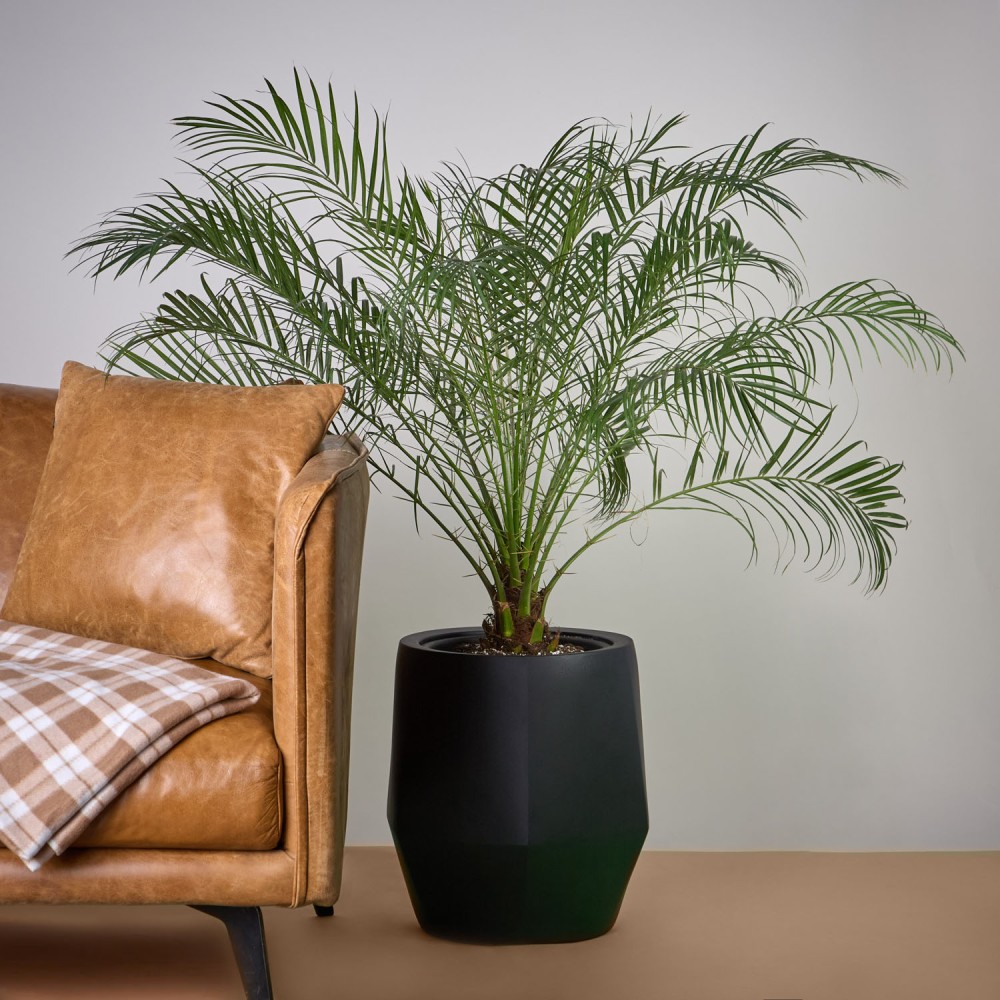 Кашпо Многогранник Антрацит d23 Кашпо Многогранник Антрацит d23