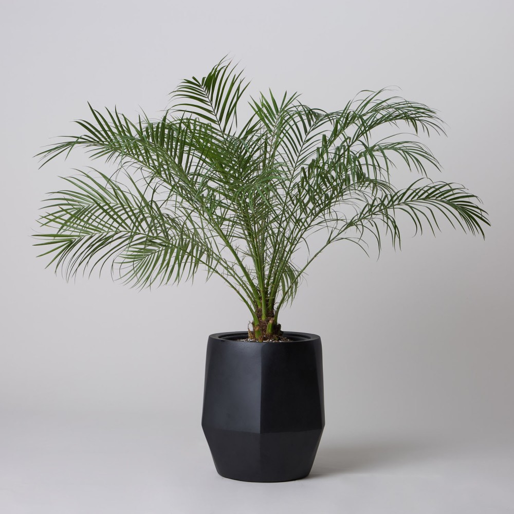 Кашпо Многогранник Антрацит d23 Кашпо Многогранник Антрацит d23