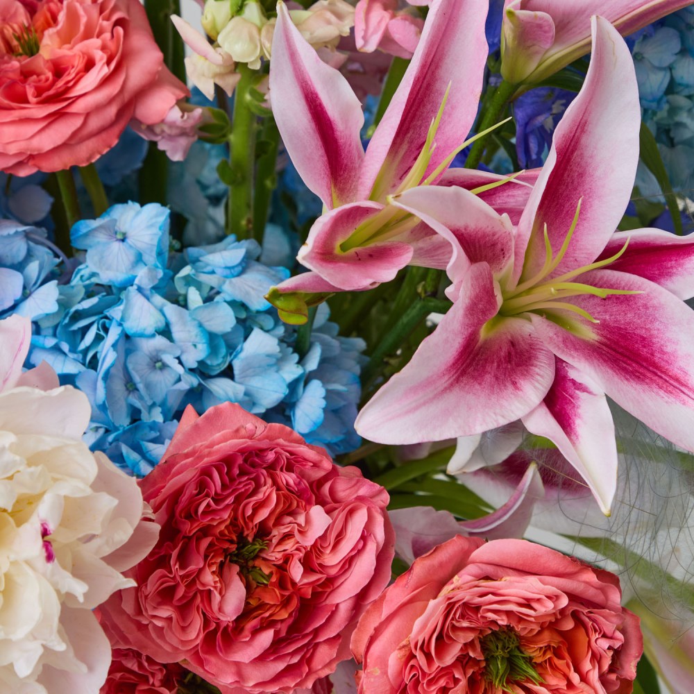 Wonderland 017 Wonderland 017