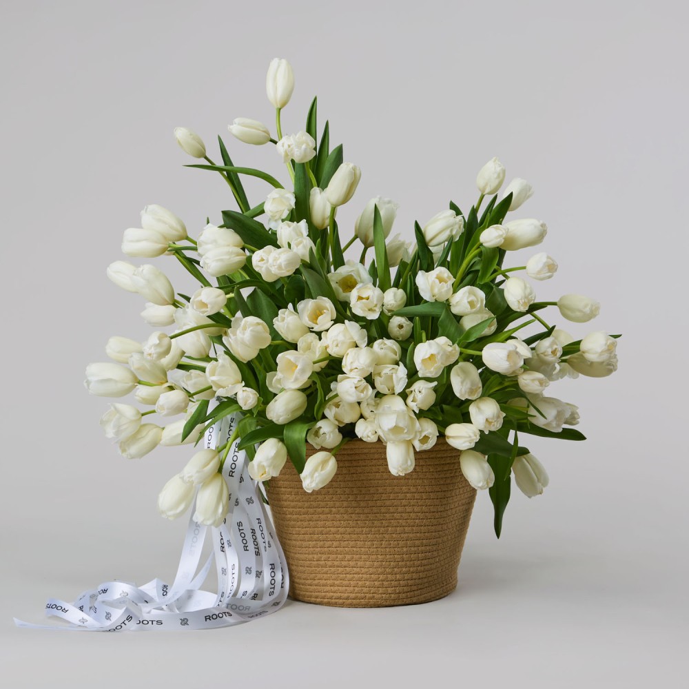 Basket 019 Basket 019