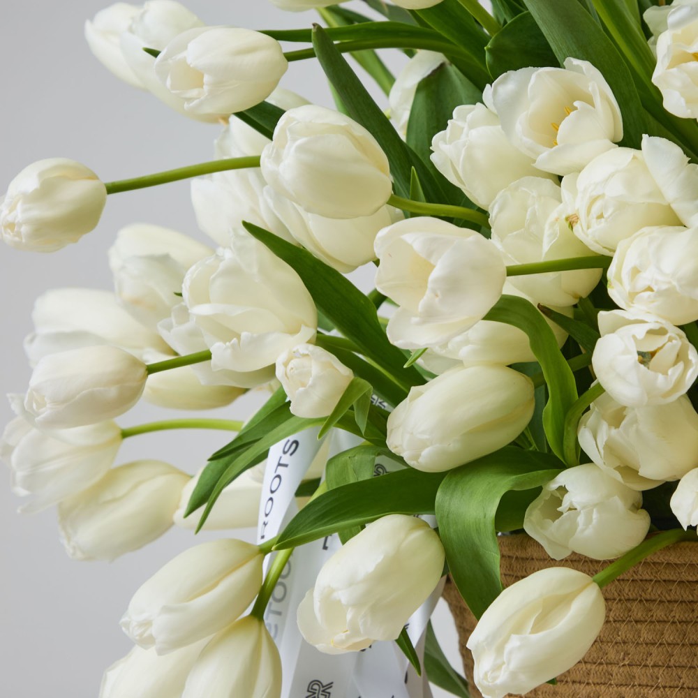 Basket 019 Basket 019