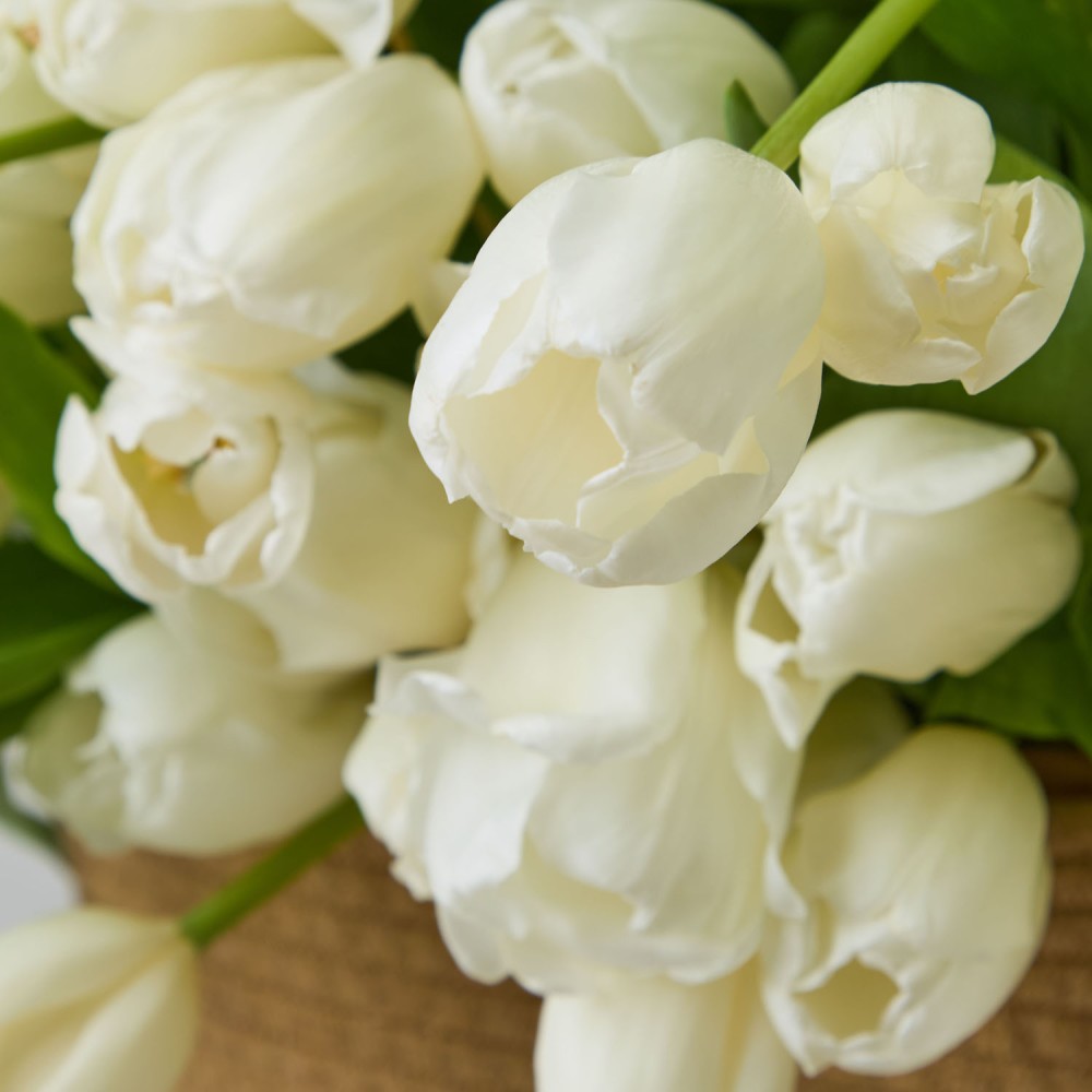 Basket 019 Basket 019