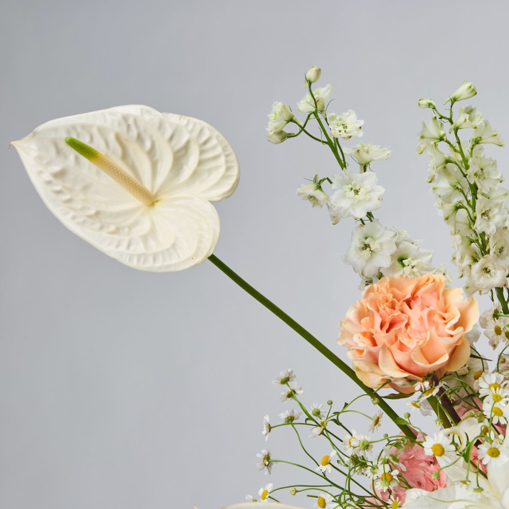 Bouquet 305 Bouquet 305