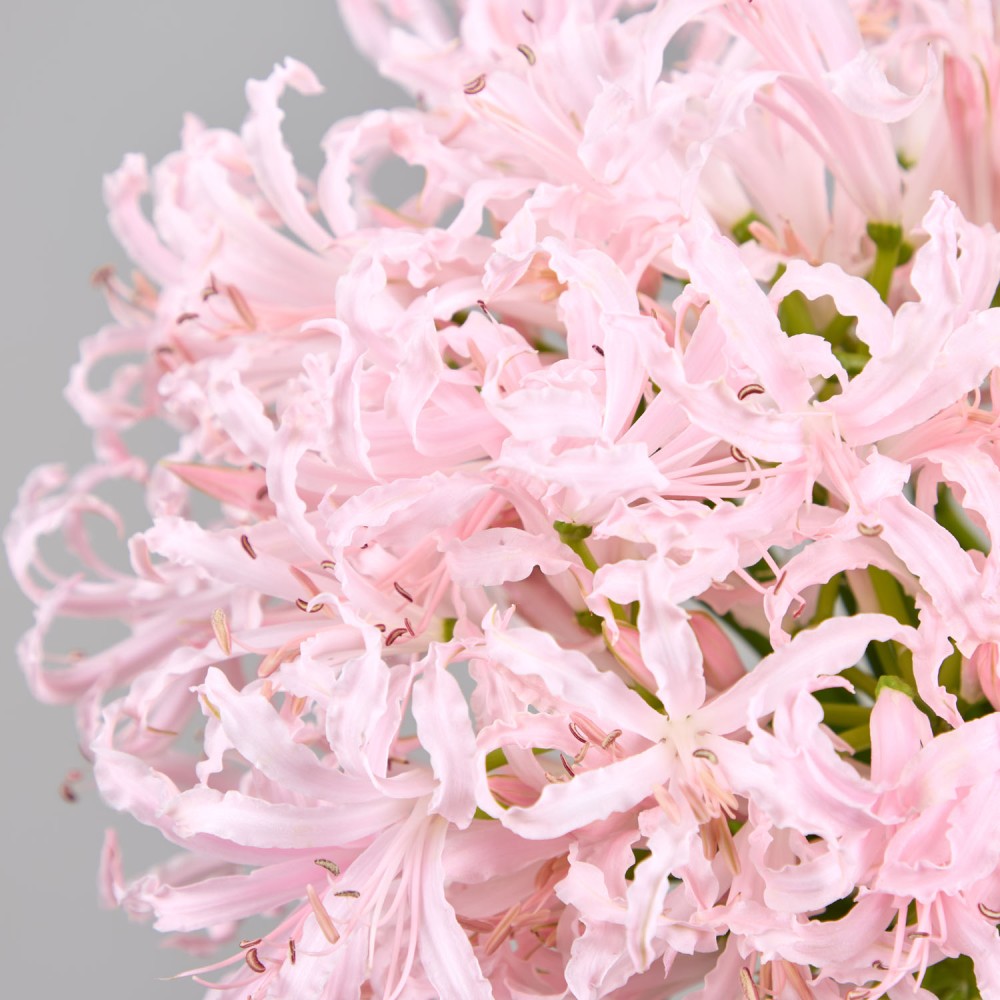 Wedding 023 Wedding 023