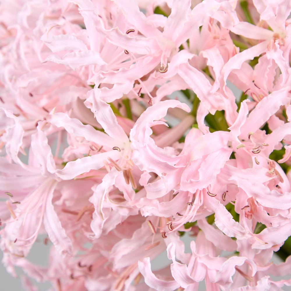 Wedding 023 Wedding 023