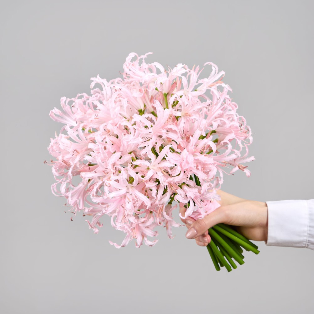 Wedding 023 Wedding 023