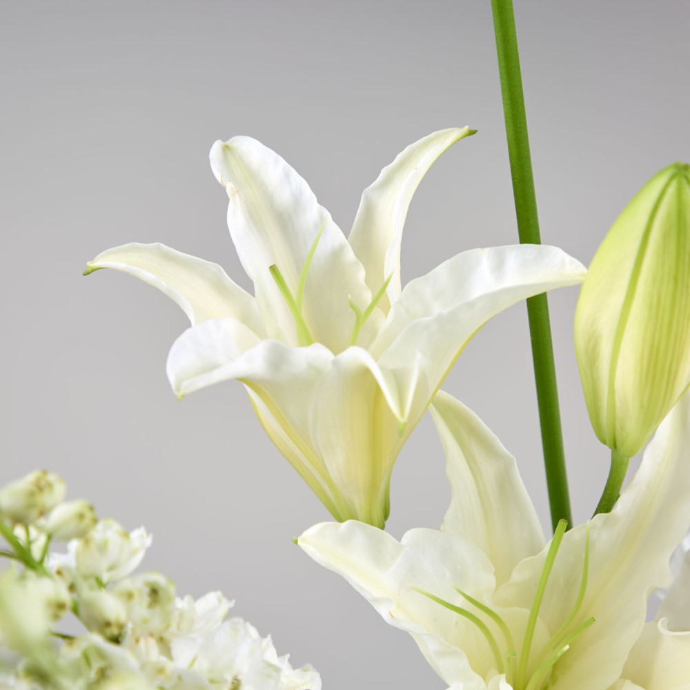 Wedding 028 Wedding 028