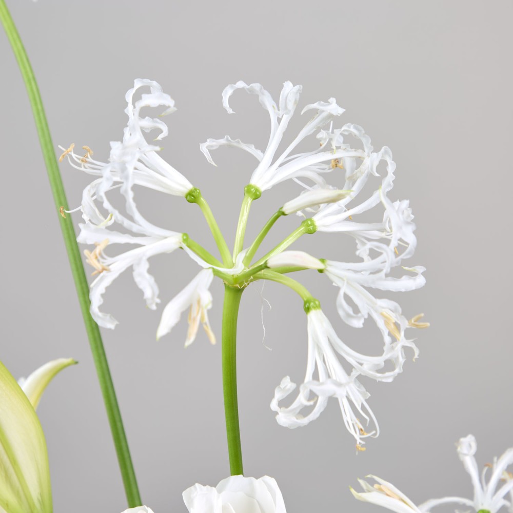 Wedding 028 Wedding 028