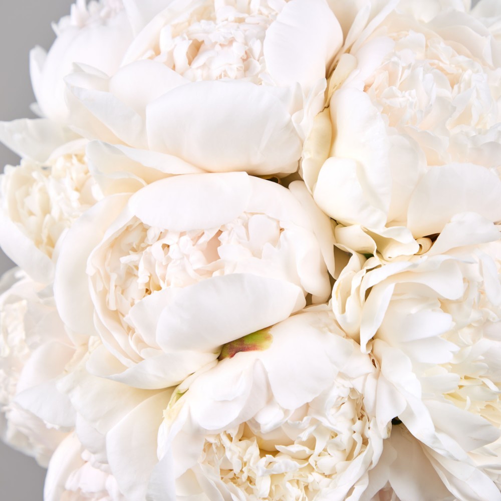 Wedding 004 Wedding 004