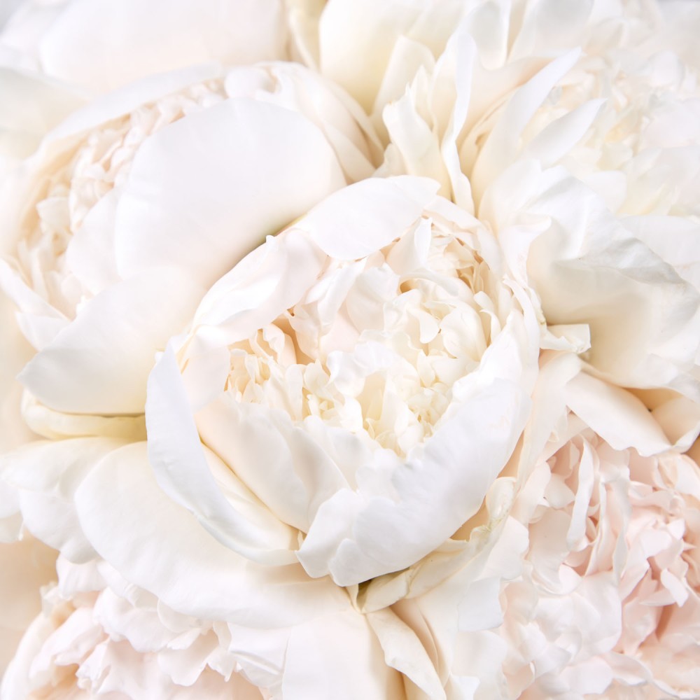 Wedding 004 Wedding 004