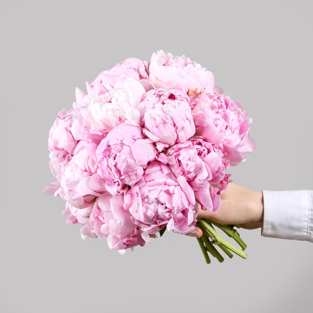 Wedding 001 Wedding 001