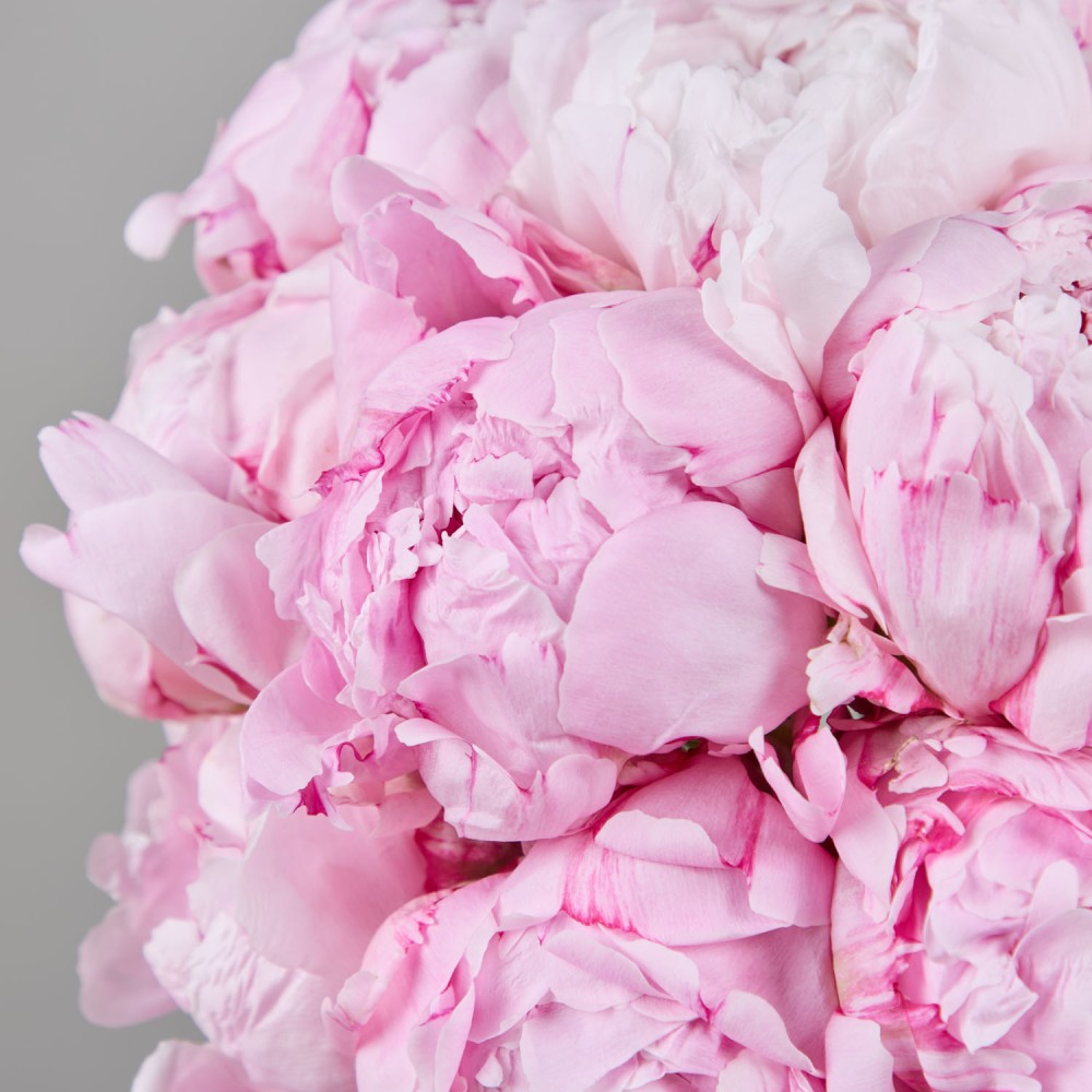 Wedding 001 Wedding 001