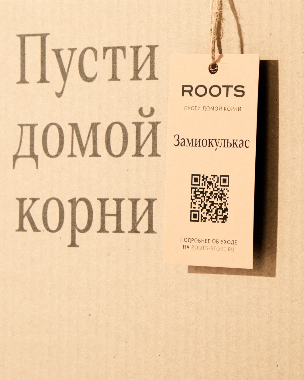 Замиокулькас