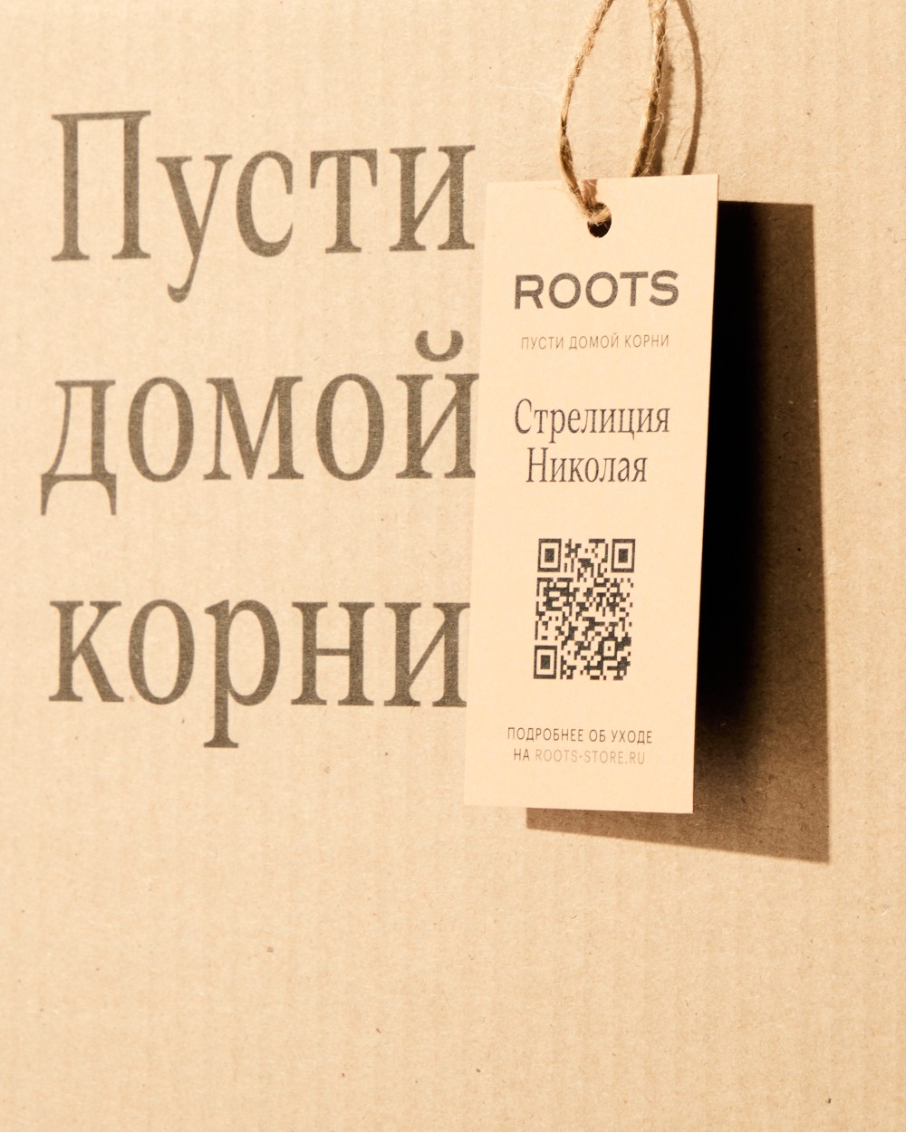 Стрелиция Николая