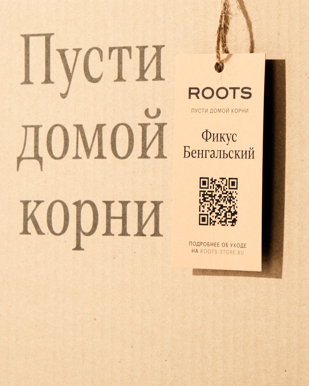 Фикус бенгальский Фикус бенгальский