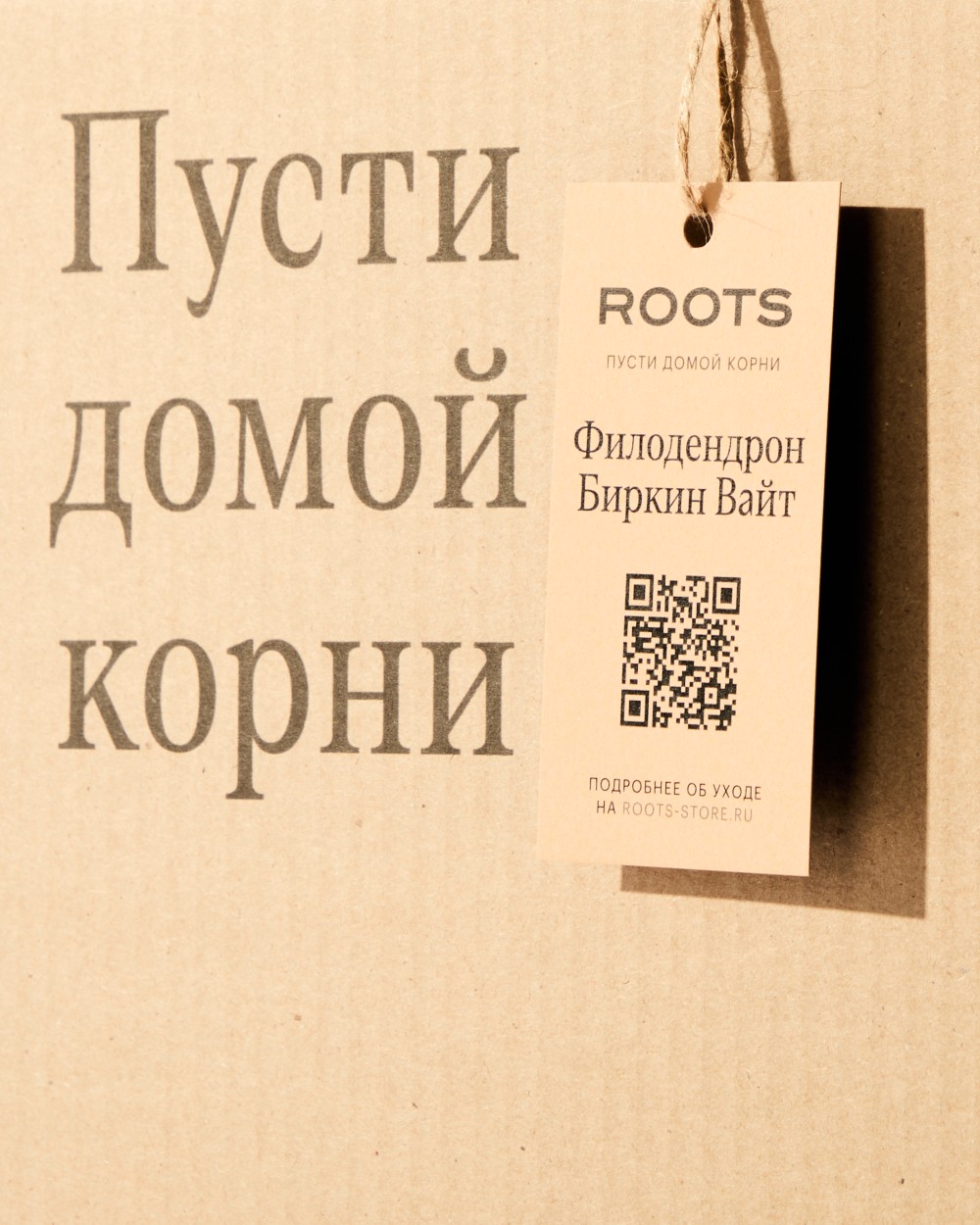 Филодендрон Биркин Вайт