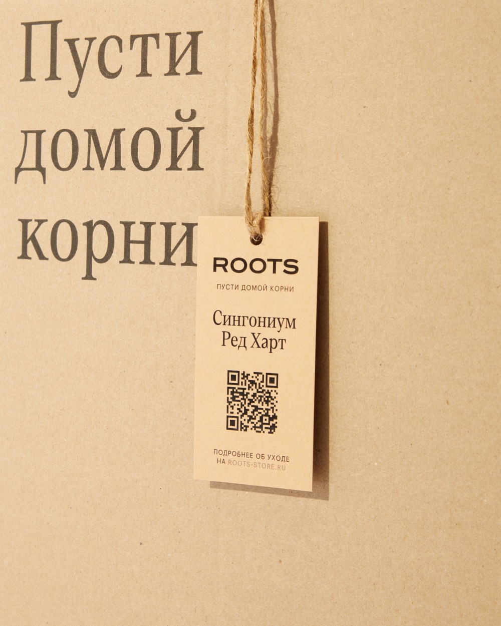 Сингониум Ред Харт Сингониум Ред Харт