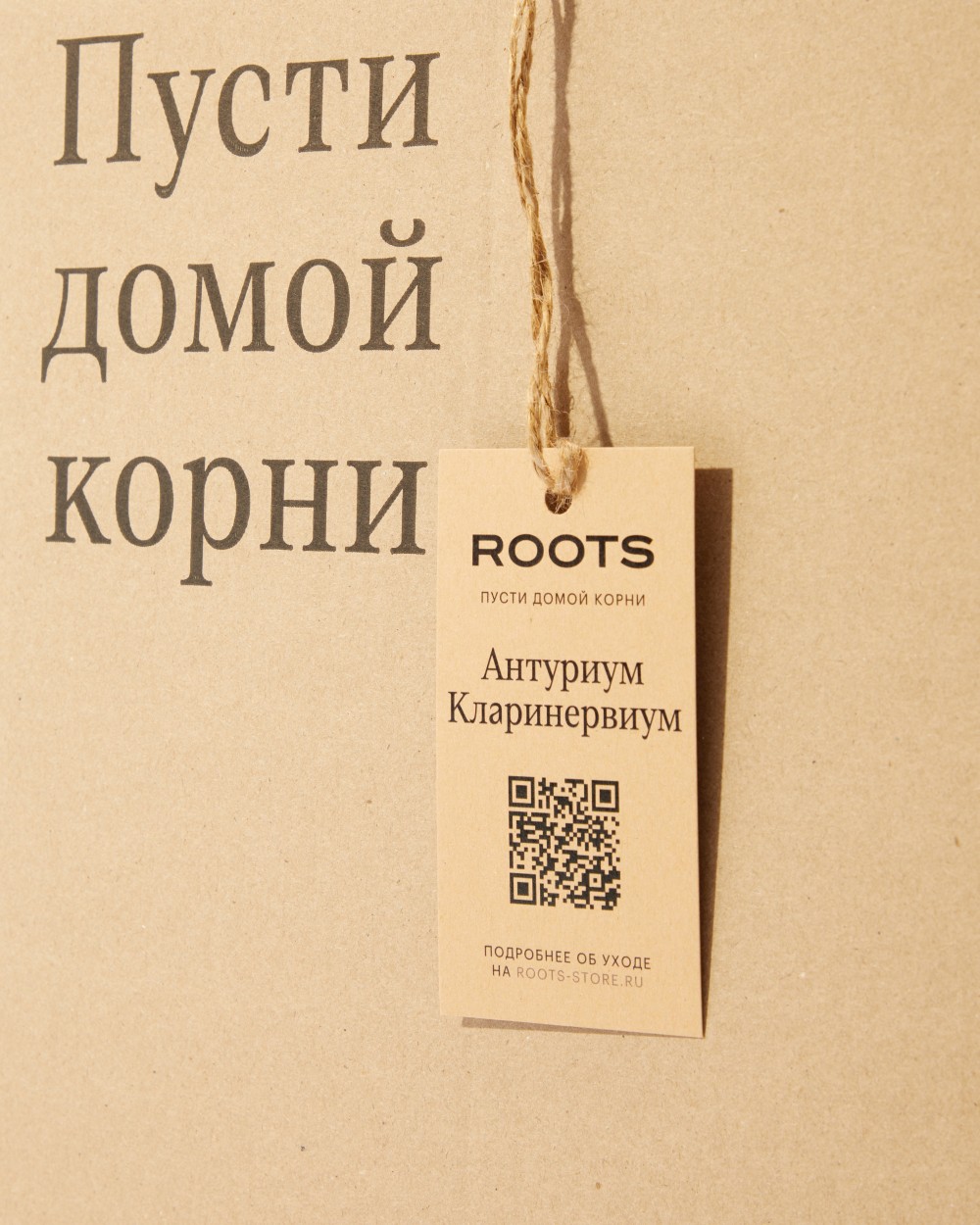 Антуриум Кларинервиум Антуриум Кларинервиум