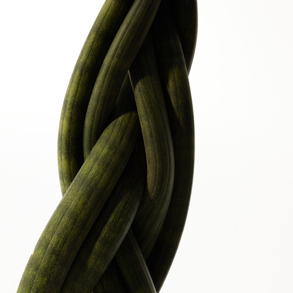 Сансевиерия Цилиндрика Коса Сансевиерия Цилиндрика Коса