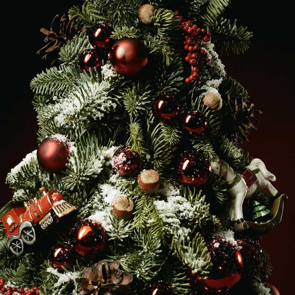 New Year 017 New Year 017