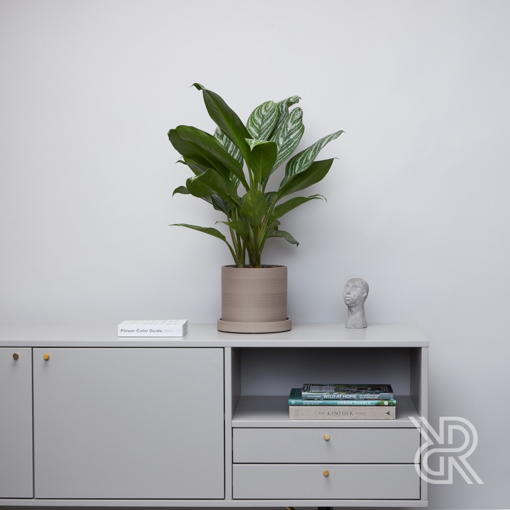 Горшок d18 Grey Горшок d18 Grey